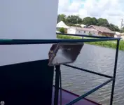 Rebocador à venda