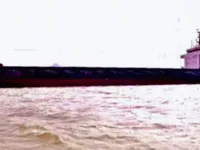 Navio graneleiro à venda