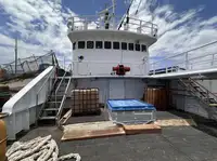 Navio de pesca de arrasto à venda