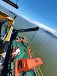 Navio frigorífico à venda