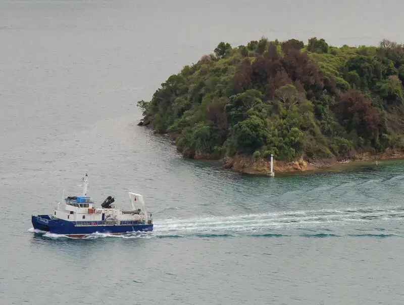 Catamarã à venda