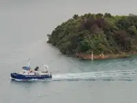 Catamarã à venda