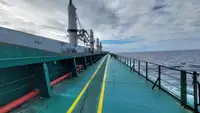 Navio graneleiro à venda