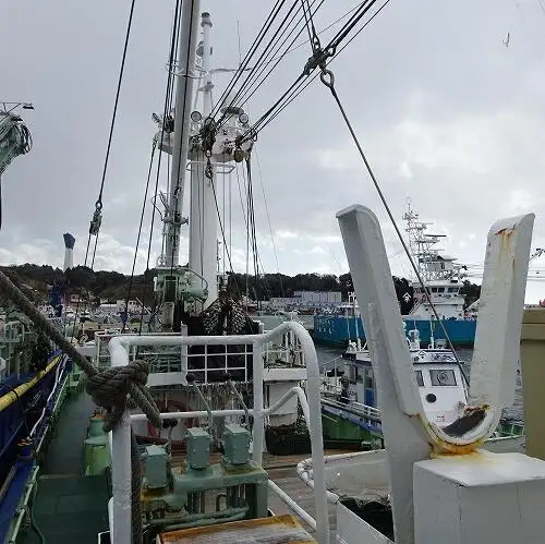 Navio de pesca de cerco à venda