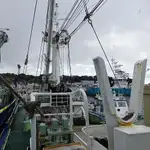 Navio de pesca de cerco à venda