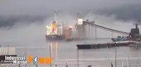 Navio graneleiro à venda