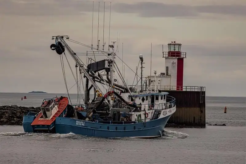 Navio de pesca de cerco à venda