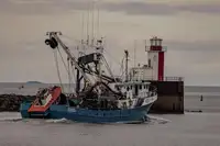 Navio de pesca de cerco à venda