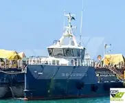 Navio de serviço para parques eólicos à venda