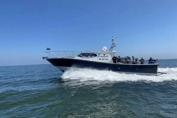 Navio de patrulha à venda