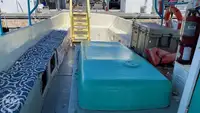 Navio de cruzeiro à venda