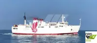 Ro-Ro ship à venda