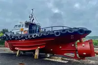 Barcos de trabalho à venda