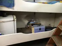 Dragador à venda
