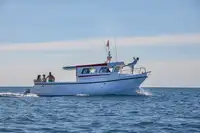 Navio de transporte de passageiros (Ferry) à venda