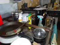 Barcos de trabalho à venda