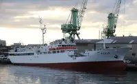Navio de pesca de arrasto à venda
