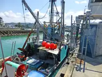 Trawler à venda