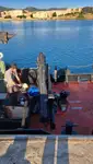 Barcos de trabalho à venda