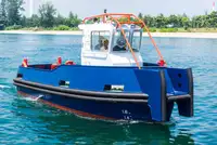 Barcos de trabalho à venda