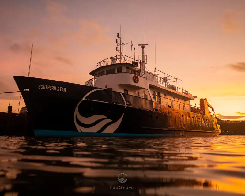 Navio de pesquisa à venda
