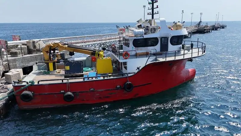 Barcos de trabalho à venda