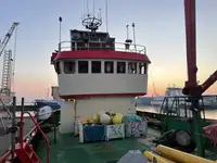 Navio de Suprimento Rápido (FSV) à venda