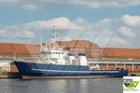 Barcos de trabalho à venda