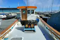 Barcos de trabalho à venda
