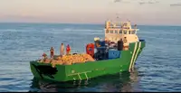 Barcos de trabalho à venda