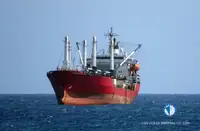 Navio frigorífico à venda