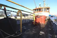 Navio de Suprimento Rápido (FSV) à venda