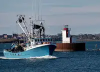 Navio de pesca de cerco à venda