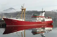 Barcos de trabalho à venda