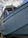 Barcos de trabalho à venda