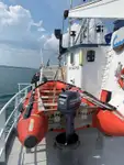Navio graneleiro à venda
