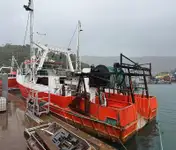 Navio de pesca de arrasto à venda
