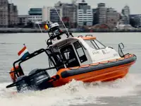 Bote inflável rígido à venda