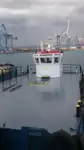 Barcos de trabalho à venda