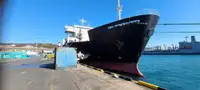 Ro-Ro ship à venda