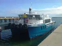Catamarã à venda