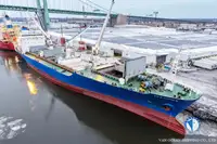 Navio frigorífico à venda