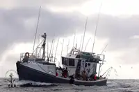 Navio de pesca de arrasto à venda