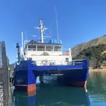 Catamarã à venda