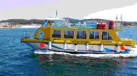 Navio balsa à venda