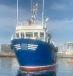 Barcos de trabalho à venda