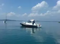 Barco da tripulação à venda