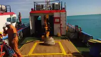 Barcos de trabalho à venda