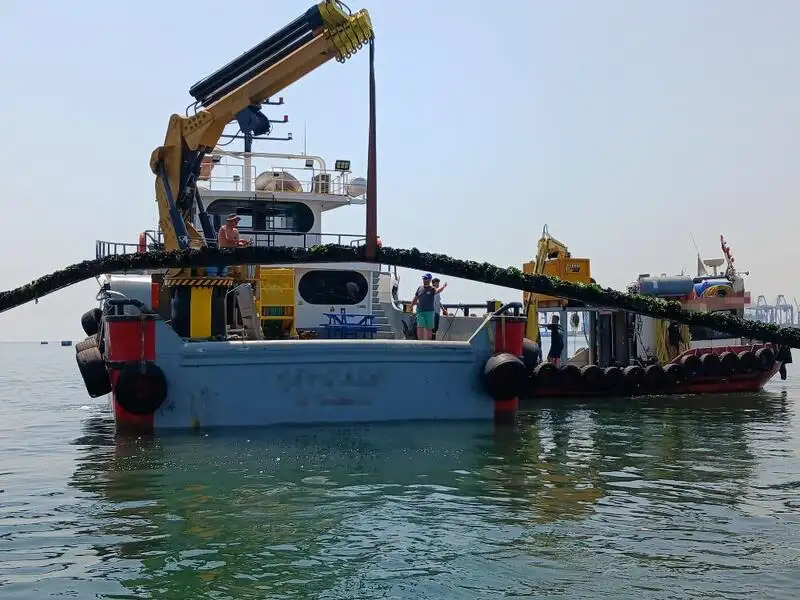 Barcos de trabalho à venda