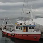 Barcos de trabalho à venda